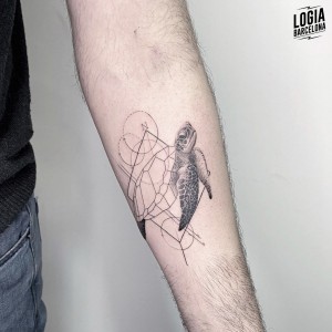 tatuaje_brazo_tortuga_ferran_torre_logiabarcelona  